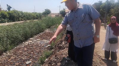 مدرية الزراعة بالغربية تواصل حملاتها الواسعة لمكافحة القوارض حمايةً للأمن الغذائي والصحة العامة