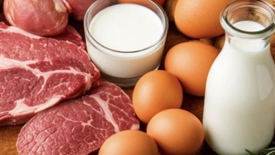 بحوث الإنتاج الحيواني: الأحماض الأمينية مفتاح زيادة إنتاج اللحم واللبن والبيض وتحسين جودتها