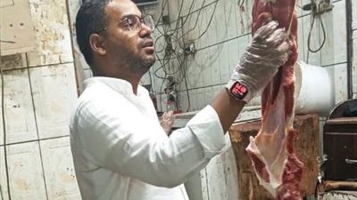 تنفيذًا لتوجيهات محافظ أسوان.. حملات رقابية مكثفة تضبط 150 كجم لحوم ومنتجات مخالفة
