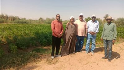 قيادات زراعة الوادي الجديد تتابع الحقول الإرشادية لمحاصيل الذرة واللوبيا والدخن بالخارجة