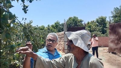 زراعة الإسماعيلية تواصل المرور الميداني على الزراعات ومحلات المبيدات بالتل الكبير