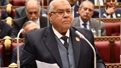 برلماني: توطين الصناعات الثقيلة يعزز الصادرات ويفتح آفاقًا جديدة لتوفير فرص عمل للشباب