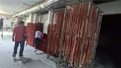 الزراعة: تدوير 4135 طنًا من المخلفات الحيوانية خلال يوليو وتحويلها إلى منتجات ذات قيمة اقتصادية