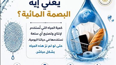 من الطماطم إلى اللابتوب.. 