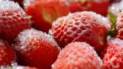 الفراولة المجمدة تتصدر صادرات الصناعات الغذائية المصرية بـ489 مليون دولار
