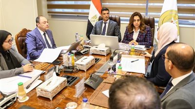 وزراء التنمية المحلية والصناعة يناقشون دعم مشروعات هيئة تنمية الصعيد وتعزيز التصدير