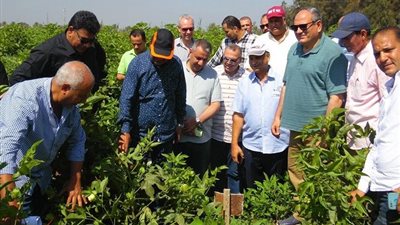 رئيس مركز البحوث الزراعية يتفقد محطة الجميزة لمتابعة البرامج البحثية وإنتاج التقاوي