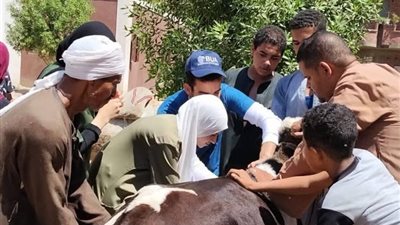 قافلة بيطرية مجانية بأسيوط تعالج 1750 حالة في قرية الواسطي.. دعم مباشر للثروة الحيوانية والداجنة