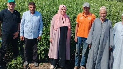 ندوة إرشادية عن محصول السمسم بمركز دمنهور - البحيرة 