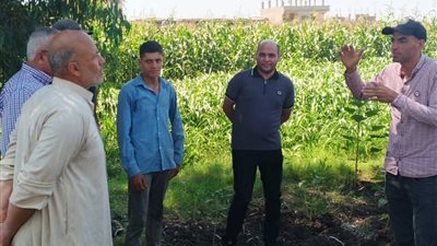 ندوات إرشادية بمركز قلين حول دوار الشمس والتكثيف الثلاثي