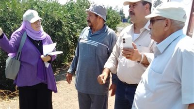 زراعة كفر الشيخ تواصل جهودها لحماية المحاصيل الاستراتيجية ومكافحة الآفات