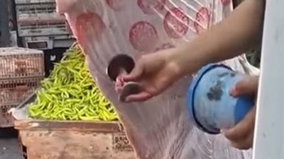 كارثة في سوق شعبي.. فيديو جزار يختم اللحوم بنفسه يثير ذعر المستهلكين وتحرك عاجل لضبطه