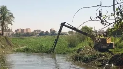 بعد الجدل.. قنا تكشف حقيقة تأثير الحشائش على مياه الشرب