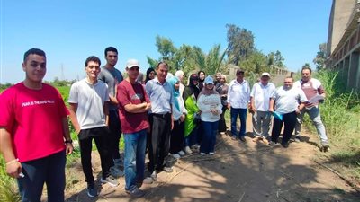 القطن في المنزلة تحت المجهر.. توصيات إرشادية لرفع الإنتاجية وتحسين جودة المحصول