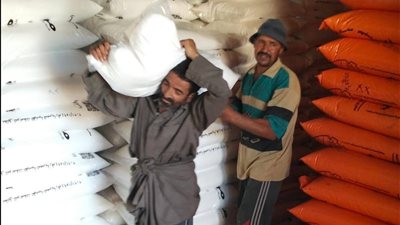 إدارة شربين الزراعية تواصل صرف الأسمدة المدعمة للمزارعين عبر منظومة كارت الفلاح