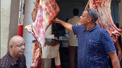 «اللحمة كلها ختم مضروب».. «البيطرية» تكشف مفاجأة صادمة بعد فيديو جزار الجيزة
