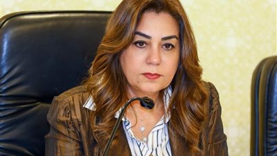 «التنمية المحلية» ترصد 54 عقارًا مخالفًا وتحيل مختصين للتحقيق في دار السلام
