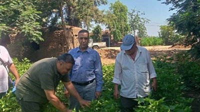 زراعة المنوفية تكثف المرور الميداني على زراعات القطن والمصائد بمركز الشهداء