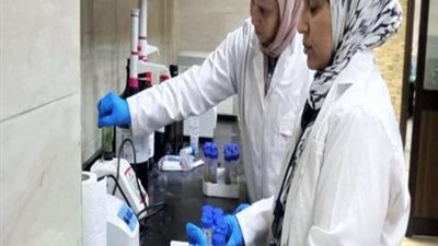 الزراعة