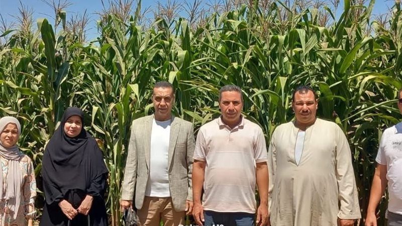 حقول ترشيد الري بالمنوفية
