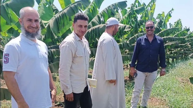 مديرية الزراعة بالمنوفية