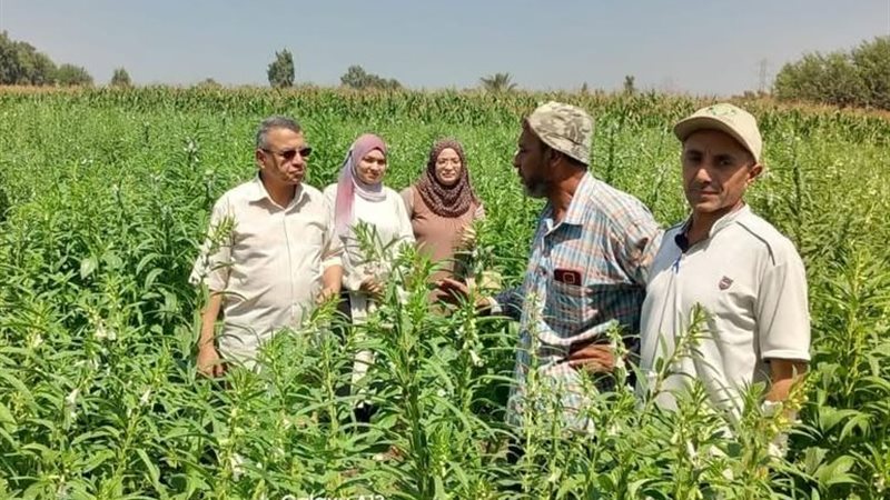 ندوات إرشادية بالمنوفية