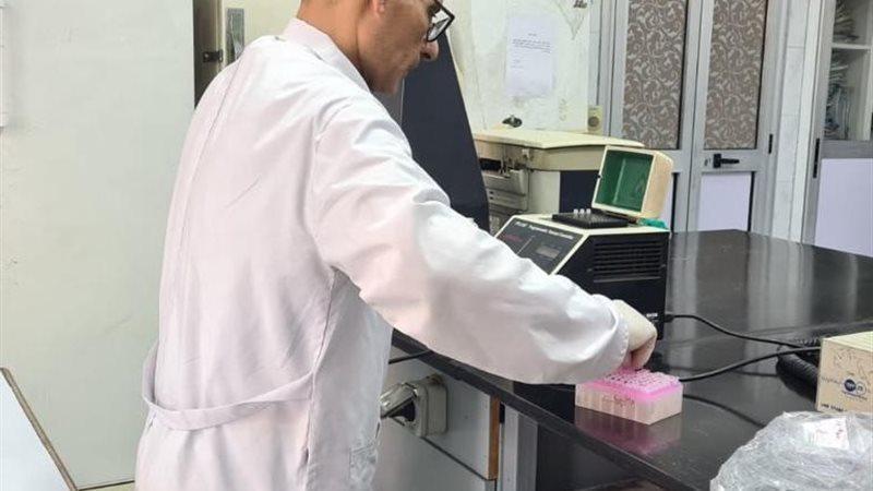 جانب من العمل 