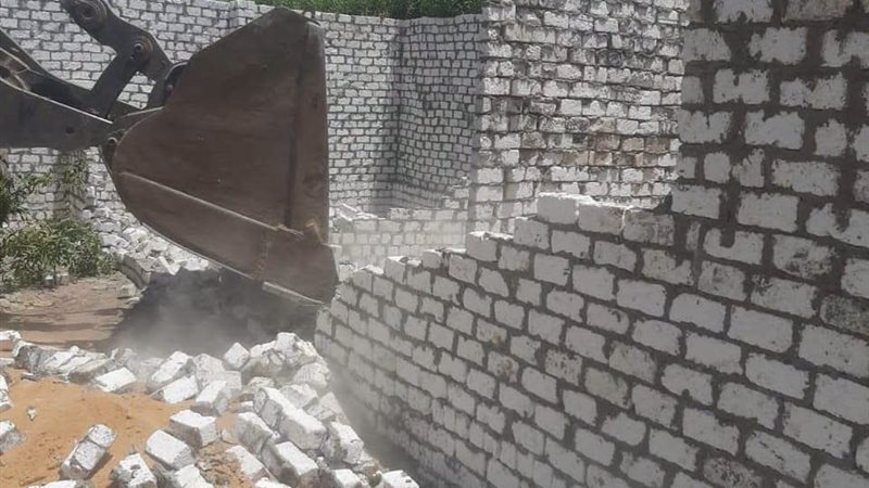 زراعة الجيزة