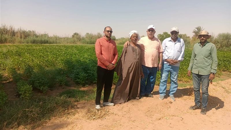 قيادات زراعة الوادي