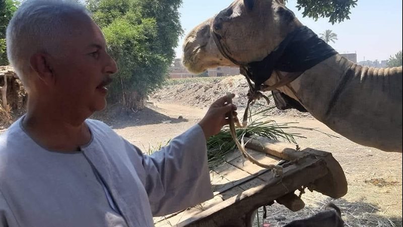 حسين ابو صدام 
