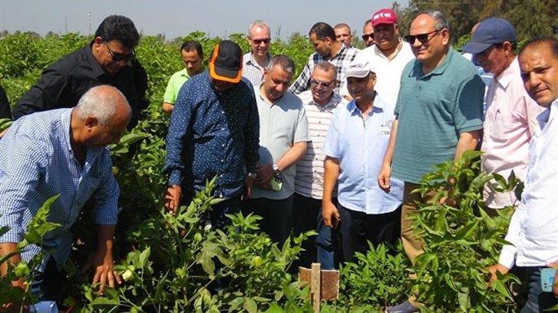 رئيس مركز البحوث
