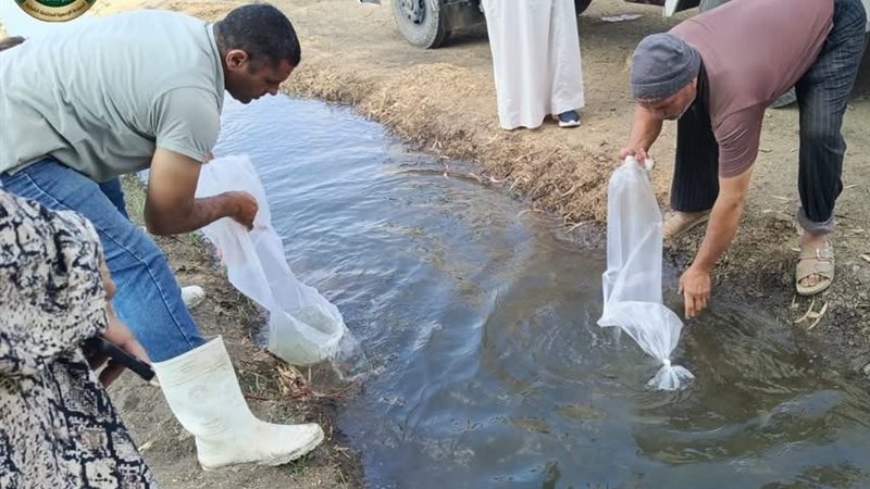 الاستزراع السمكي