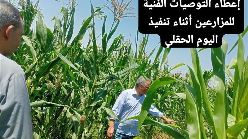 يوم حقلي لمتابعة