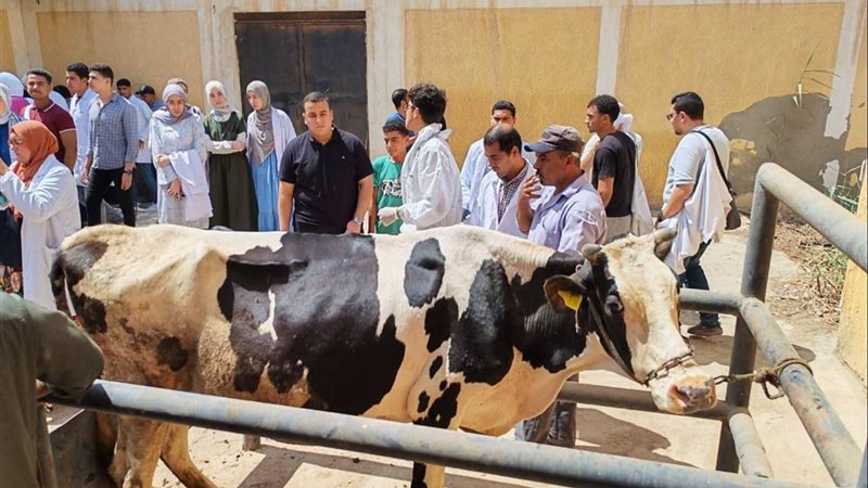 قافلات بيطرية 