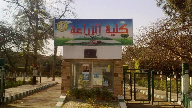 كلية الزراعة في الجامعات