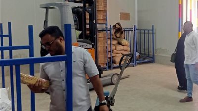 حملات بيطرية بأسوان تضبط 740 كجم من اللحوم والدواجن الفاسدة في مركزين