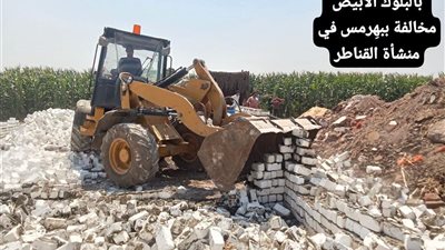 «زراعة الجيزة» تواصل تكثيف المتابعة الميدانية.. إزالة 16 حالة تعدٍ ومتابعة صرف الأسمدة وحصاد الحقول الإرشادية