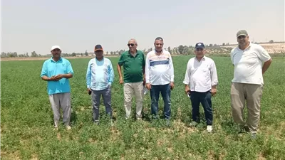 البحوث الزراعية.. جولة تفقدية لمزارع المانجو والزيتون ومعامل متبقيات المبيدات بالإسماعيلية