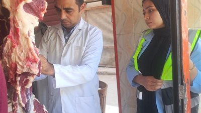 ضبط 42 كيلو لحوم وأحشاء غير صالحة للاستهلاك الآدمي خلال حملة تفتيشية بسوهاج
