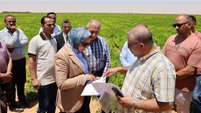بمساحة 5504 أفدنة.. تفاصيل جولة محافظ الوادي الجديد لدعم الاستثمار الزراعي بشرق العوينات