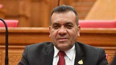 النائب أشرف مرزوق: مشروع سد «جوليوس نيريري» يعكس الشراكة التنموية لمصر في أفريقيا