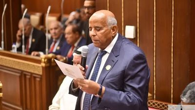 حلمي جاويش: «جوليوس نيريري» يعكس قدرة الشركات المصرية على تنفيذ المشروعات الكبرى 