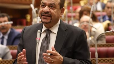 برلماني: تدشين سد «جوليوس نيريري» خطوة محورية لتكامل سلاسل الإمداد والاستثمار في إفريقيا
