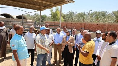 محافظ الوادي الجديد تشهد حصاد محصول البرحي بمزارع وزارة الزراعة بشرق العوينات