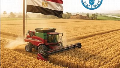 مصر تتصدر عربيًا في إنتاج القمح.. 10.2 مليون طن وفقًا لتقديرات «الفاو» وموسم التوريد يسجل رقمًا قياسيًا