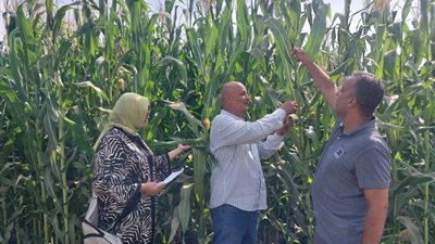 زراعة الغربية تواصل المتابعة الميدانية للخدمات الزراعية ومراجعة منظومة توزيع الأسمدة