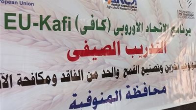 منوف تنظم يومًا تدريبيًا لمزارعيها.. تكنولوجيا تخزين وتصنيع القمح وطرق الحد من الفاقد