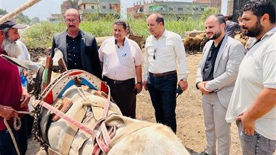 الخدمات البيطرية بالدقهلية تنفذ قافلة علاجية مجانية بقرية المنيل في طلخا