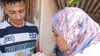 بيطري القليوبية يكثف إجراءات الترصد الوقائي لإنفلونزا الطيور قبل طرح الدواجن بالأسواق
