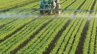 زراعة الأنسجة النباتية.. ثورة تكنولوجية تسهم في إنعاش صناعة الأشجار الخشبية بمصر
